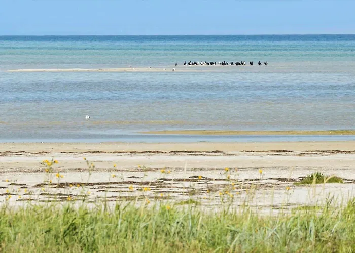 8592-glesborg-muslingevej-9 Glesborg