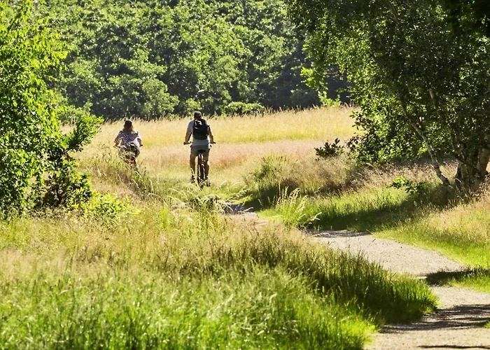 Сasa de vacaciones 8592-glesborg-muslingevej-9 Glesborg